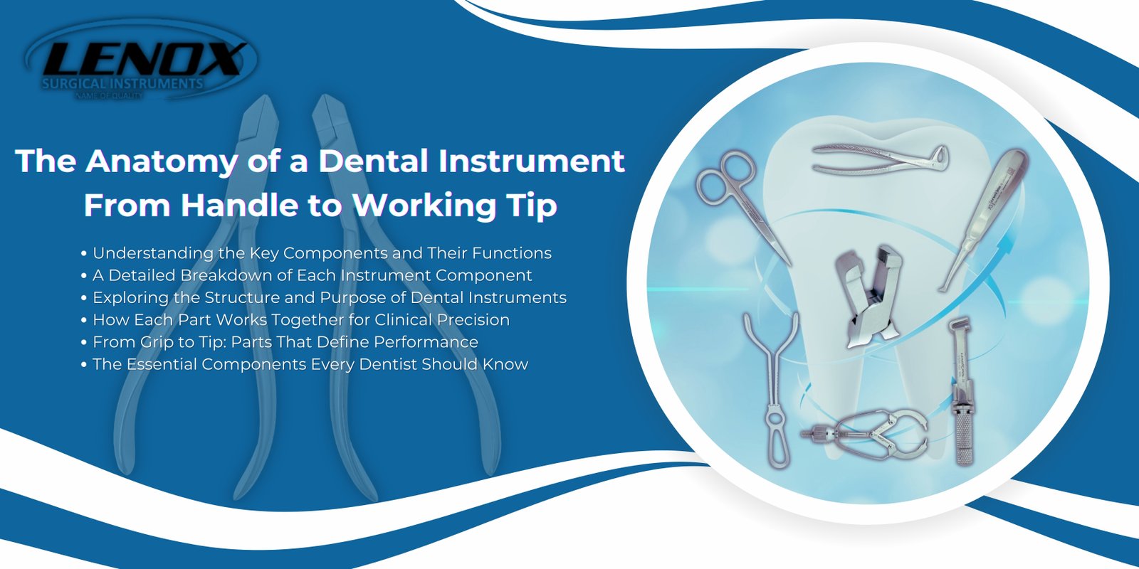 The Anatomy of a Dental Instrument: From Handle to Working Tip