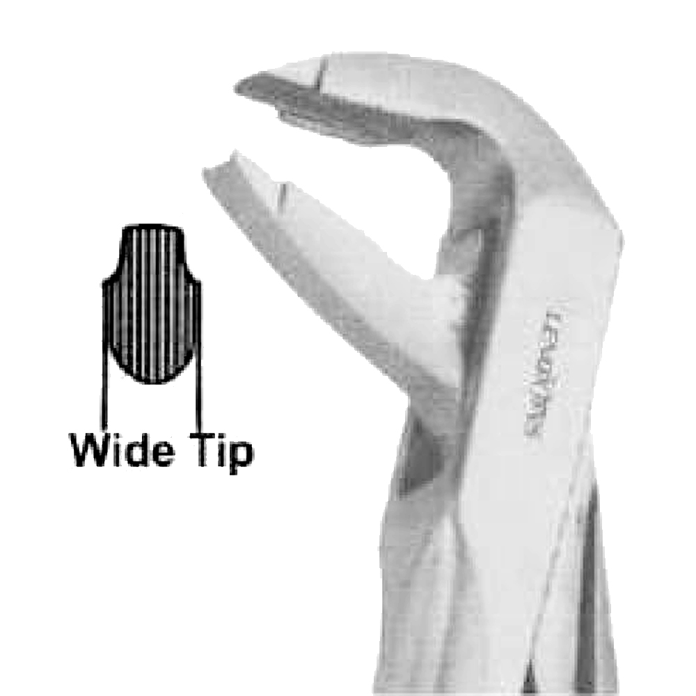 Extracting Forceps Fig.13 Lower Premolars